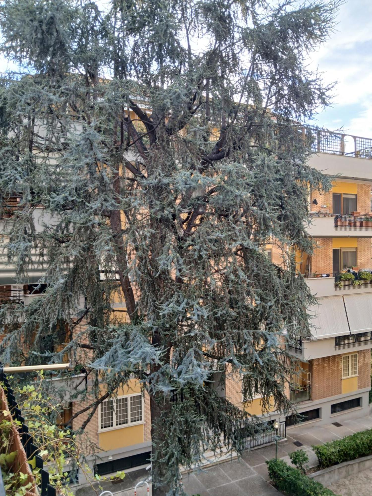 Apartament La Casa Di Antonella E Giuseppe Rzym Zewnętrze zdjęcie